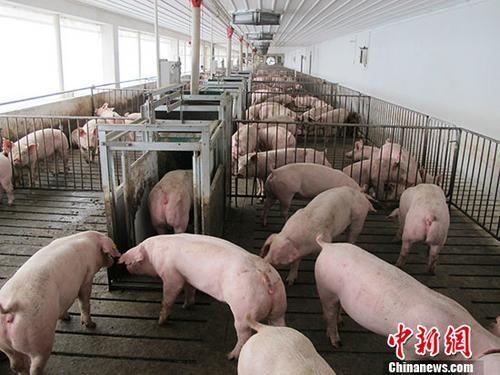 ͼֳ <a target='_blank' href='http://www.chinanews.com/'></a> ֺ 