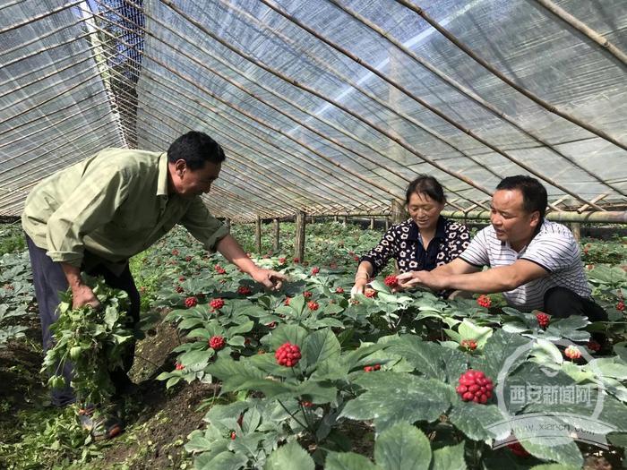 　　留坝县脱贫攻坚入选全球减贫案例